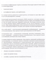 Краниосакральная архитектура