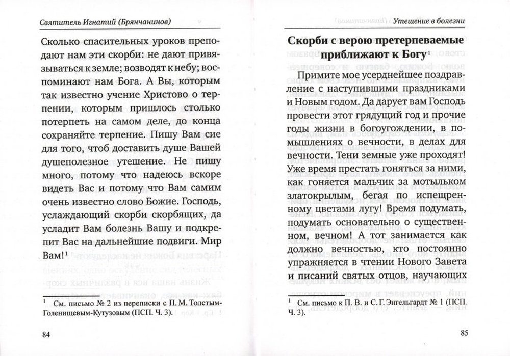 Утешение в болезни и смерти. Утешение в болезни и смерти. Избранное из писем. Святитель Игнатий (Брянчанинов)