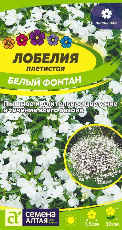 Лобелия плетистая Белый фонтан