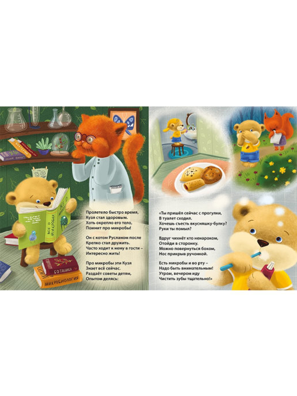 Книжки - картонки ДМ. Мы микробов победим!