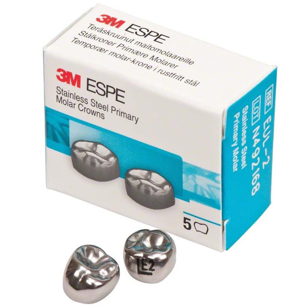 Второй верхний левый моляр, размер 2 (E-UL-2)