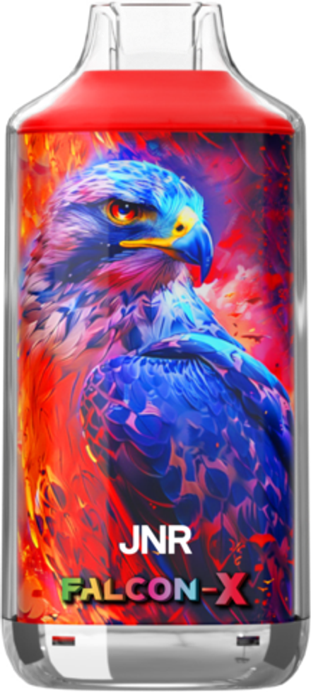 JNR Falcon X Клубника-арбуз-лёд 26000 затяжек 20мг (2%)