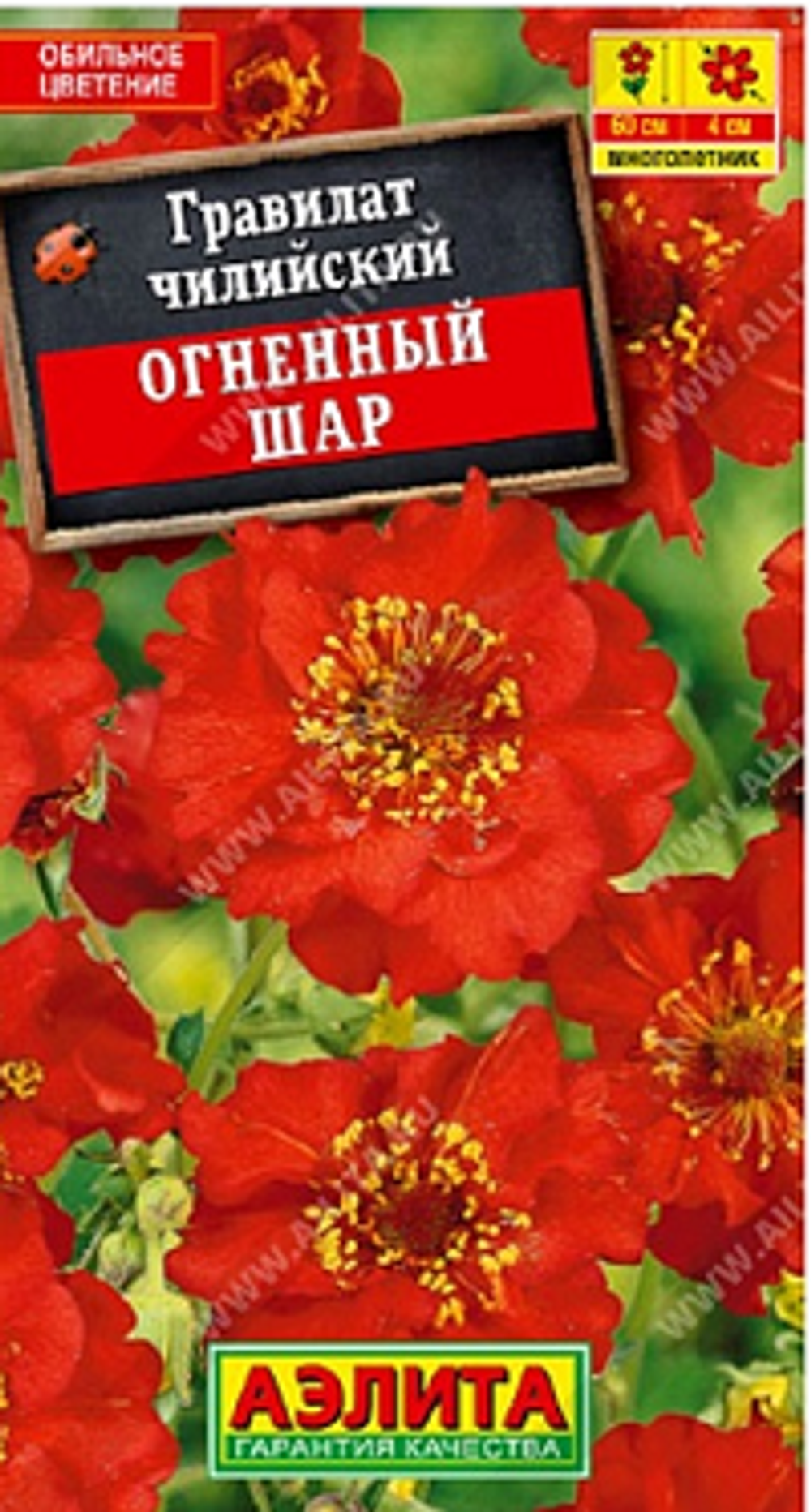 Гравилат Огненный шар