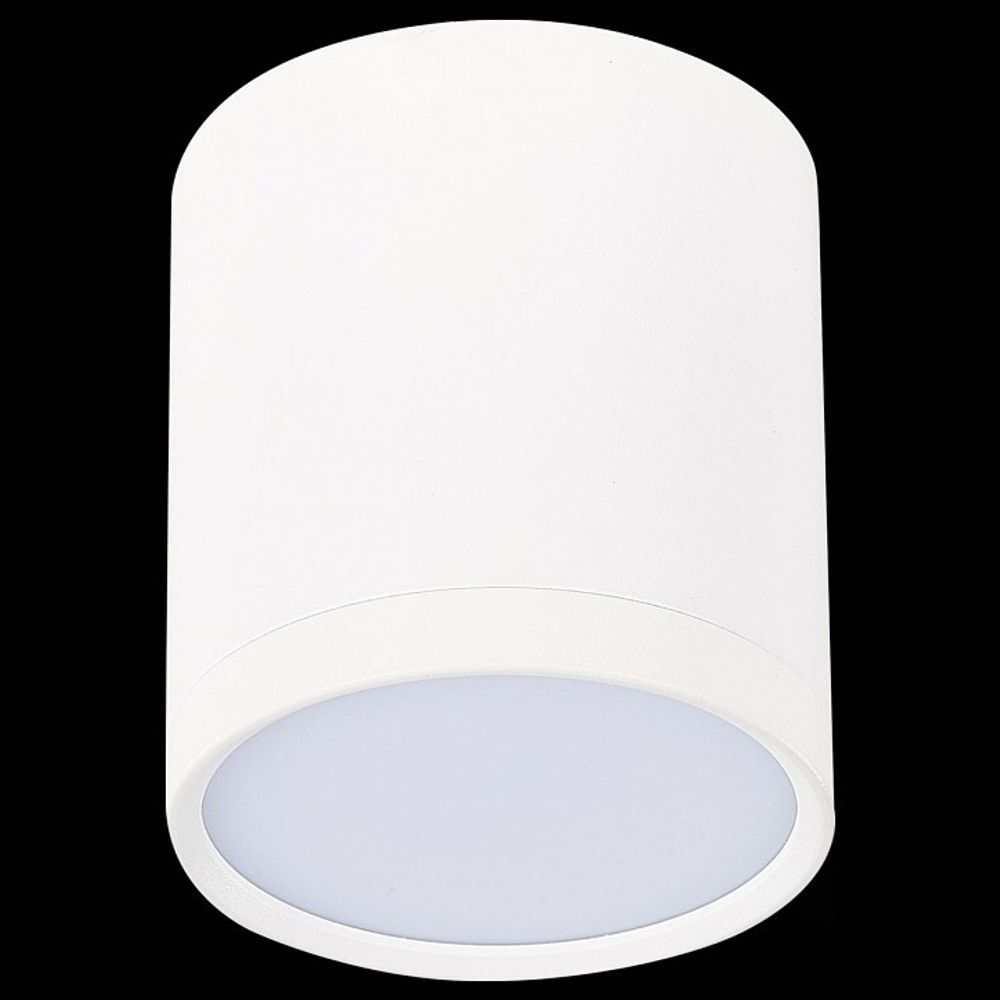 Накладной светильник ST-Luce Rene ST113.542.05