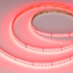 Светодиодная лента RT-AM360-12mm 24V RGBW-MIX (24 W/m, IP20, 2835/2210, 5m) (Arlight, -) 044036