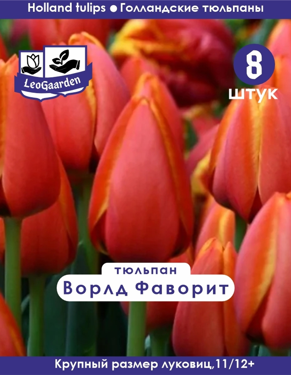 Тюльпан Луковица, Ворлд Фаворит 8 шт, разбор 11/12