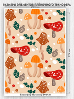 Трансфер для декупажа переводной рисунок для поверхностей мухомор 009