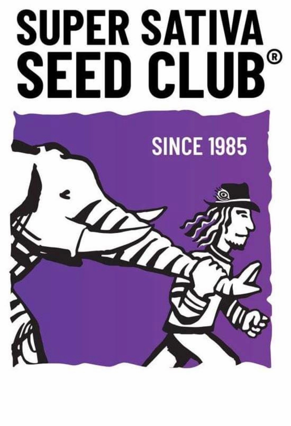 Northern Dragon Fuel auto