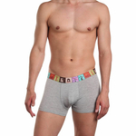 Мужские трусы-боксеры с широкой резинкой (Размер: L) (Цвет: серый)
