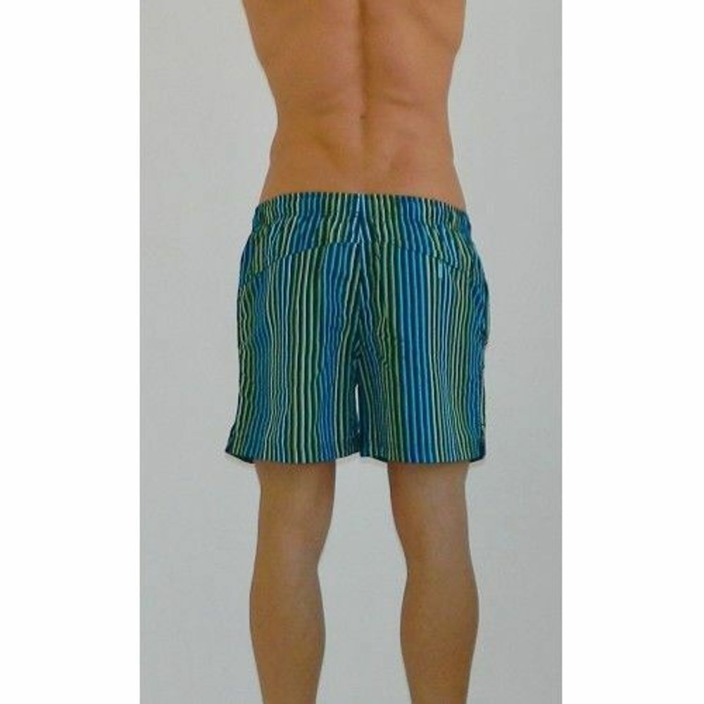 Мужские шорты плавательные разноцветные в полоску Calvin Klein Swimming Edition