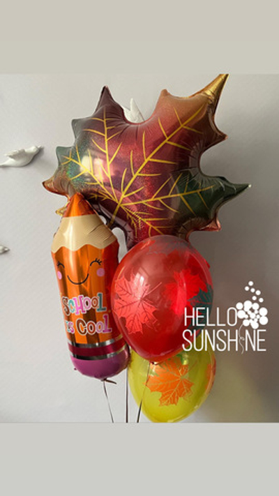 Набор шаров на 1 сентября №13