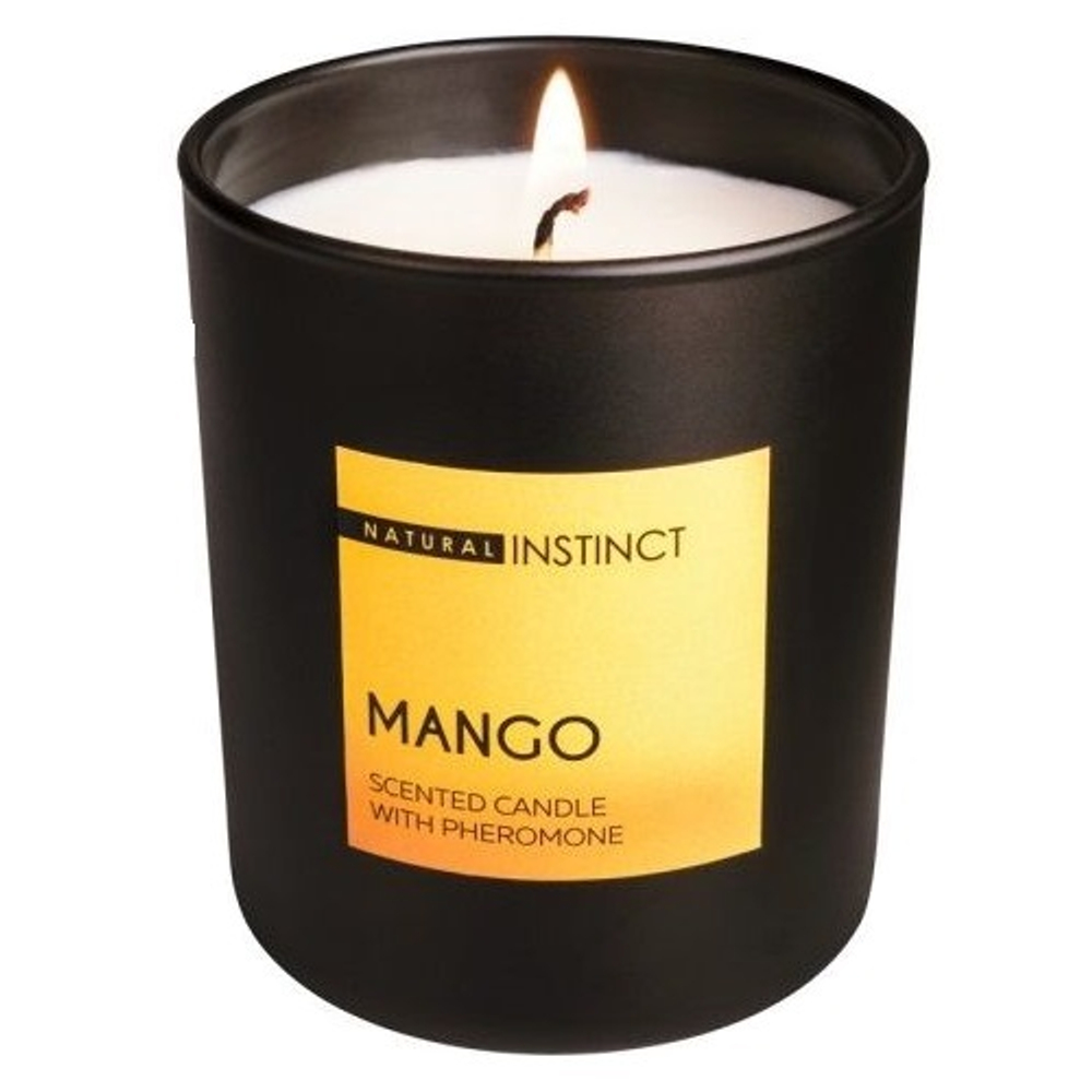 Ароматическая свеча с феромонами Манго Парфюм престиж М Natural Instinct 180г