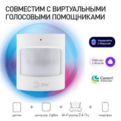 Датчик движения ЭРА DM-01 для дома, беспроводной, на батарейках, SMART Zigbee