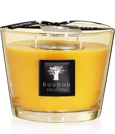 Zanzibar Spices, свеча All Seasons MAX 10, Baobab Collection