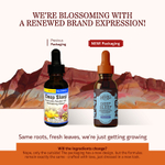 Herbs Etc., Deep Sleep®, без спирта, 30 мл (1 жидк. унция)