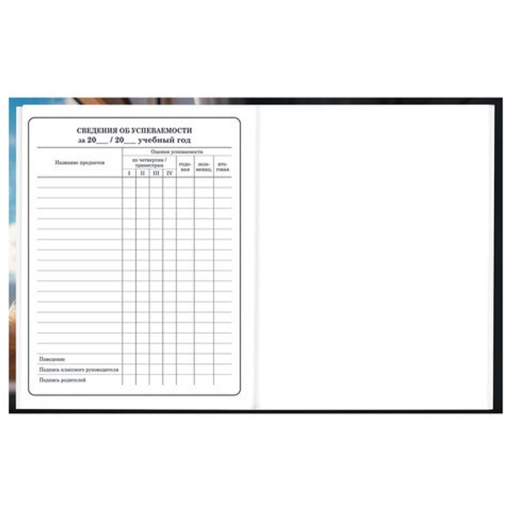 Дневник 1-4 класс 48 л., твердый, BRAUBERG, глянцевая ламинация, с подсказом, "Котик", 107156