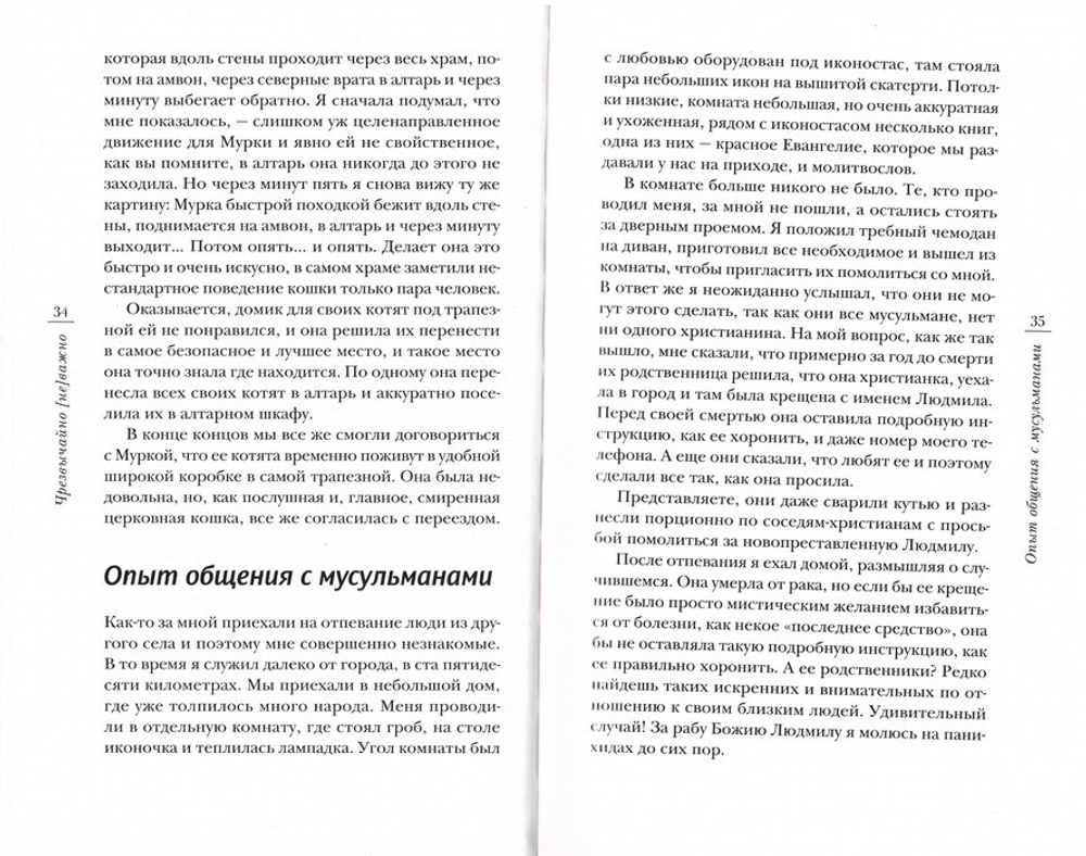 Чрезвычайно [не]важно. Сборник рассказов. Священник Давид Проскуряков