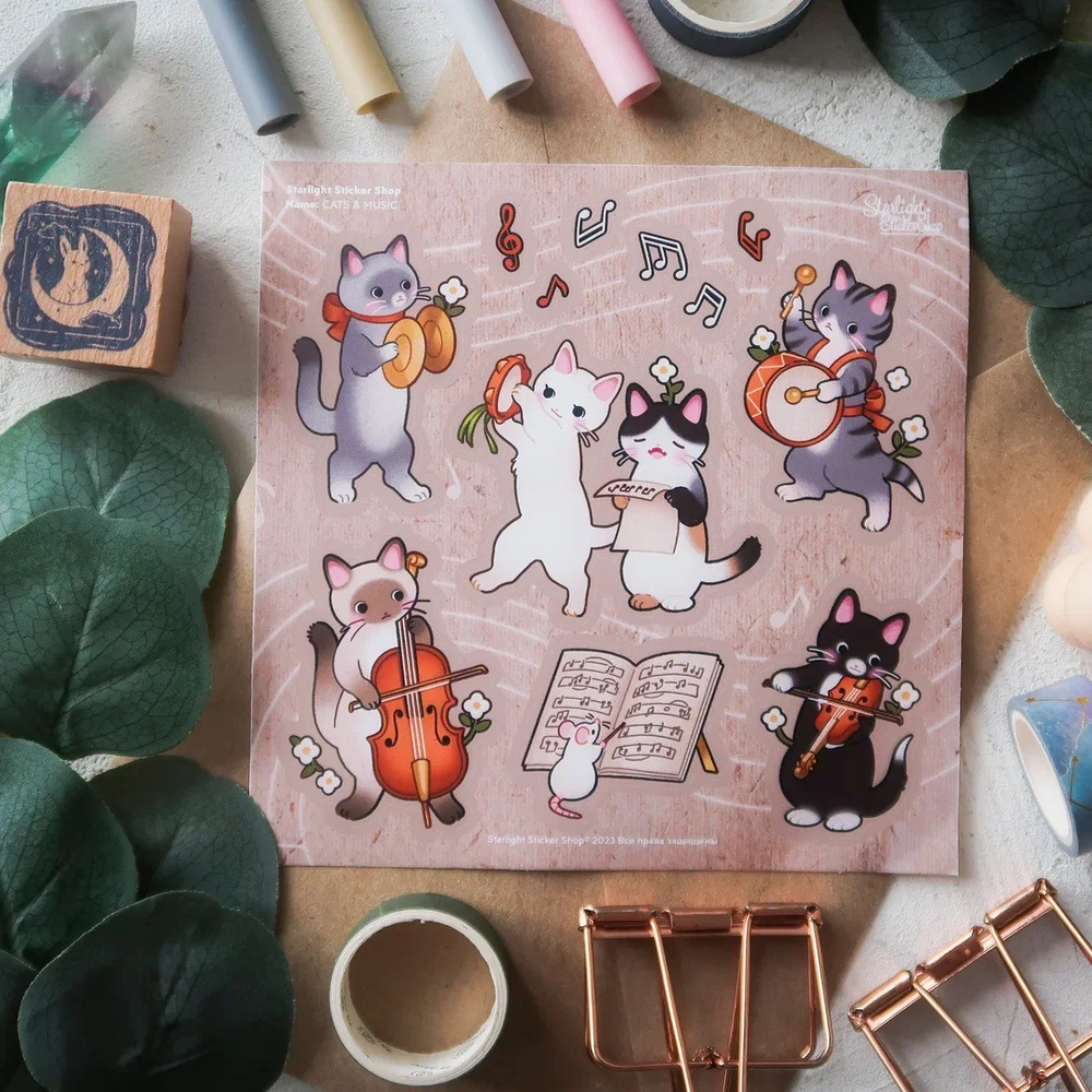SQUARE CATS & MUSIC