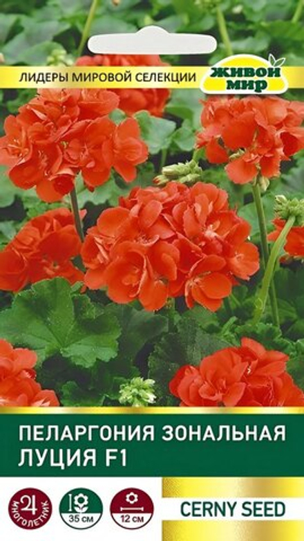 Пеларгония зональная "Лyция F1" 3шт, Чехия.