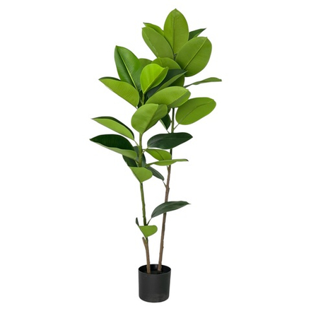 Фикус эластика зеленый 125 см.