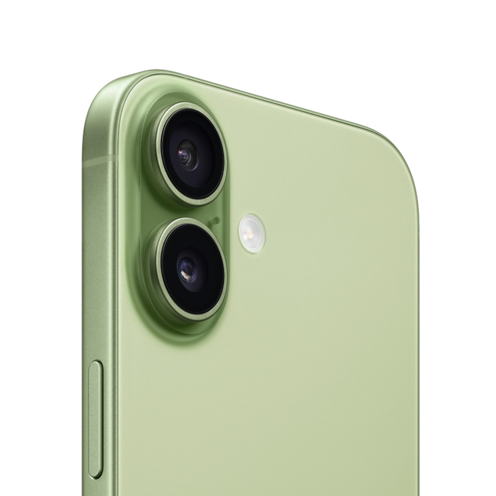 iPhone 17 256 ГБ, eSIM, Sage (Шалфей)