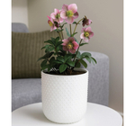 Кашпо БАБЛ 155 мм 1,5 л со вставкой М3252