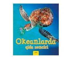 Okeanlarda qida zənciri