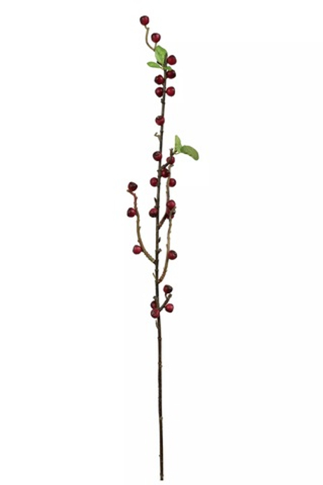 Ветка с ягодами (облепиха)