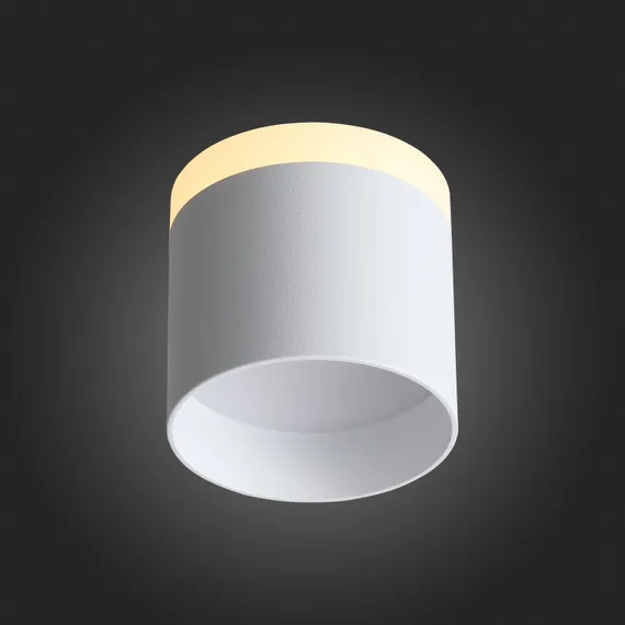 ST102.502.12 Светильник потолочный Белый LED 1*12W 3000K 936Lm Ra>80 120° IP20 D100xH90 170-240V Накладные светильники