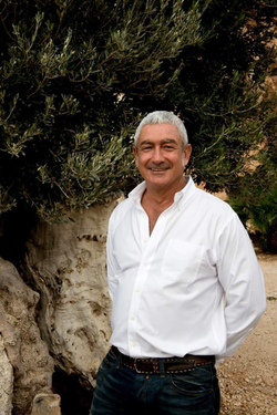 Оливковое масло BARBERA Alive Extra Virgin 250 мл Италия