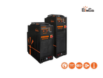 SAW-R-TWINS