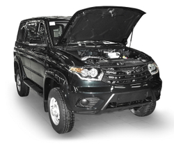 Газовые упоры капота Rival для УАЗ Patriot 2005-2016 2016-н.в./Pickup 2008-2016 2016-н.в., 2 шт., A.ST.6302.1