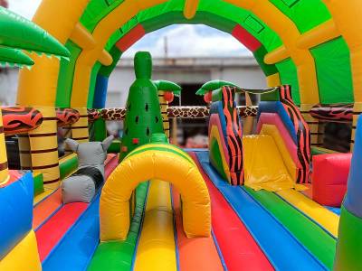 Коммерческий надувной батут «Зоопарк» с крышей, 15*7*9 м.