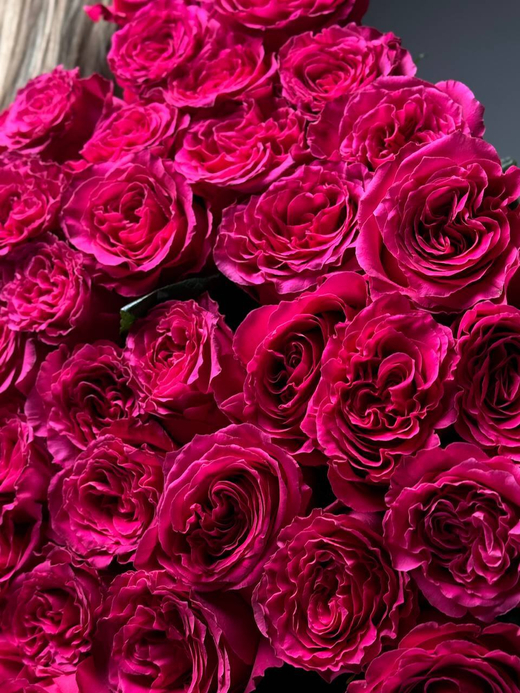 Букет из 35 малиновых роз под ленту