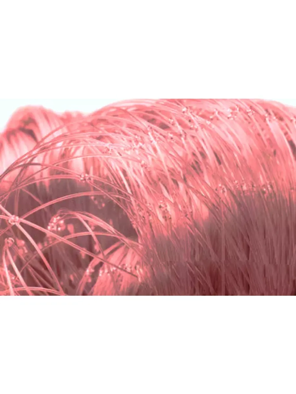 Сетеполотно леска 0,60 мм, ячея 200 мм, высота 6,0 м красный