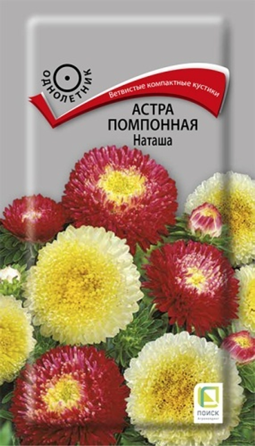 Астра помпонная Наташа 0,3гр Поиск