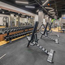 Гантельный ряд POWER (шаг 2,5 кг, 5 пар) PROFI-FIT 40-50 кг