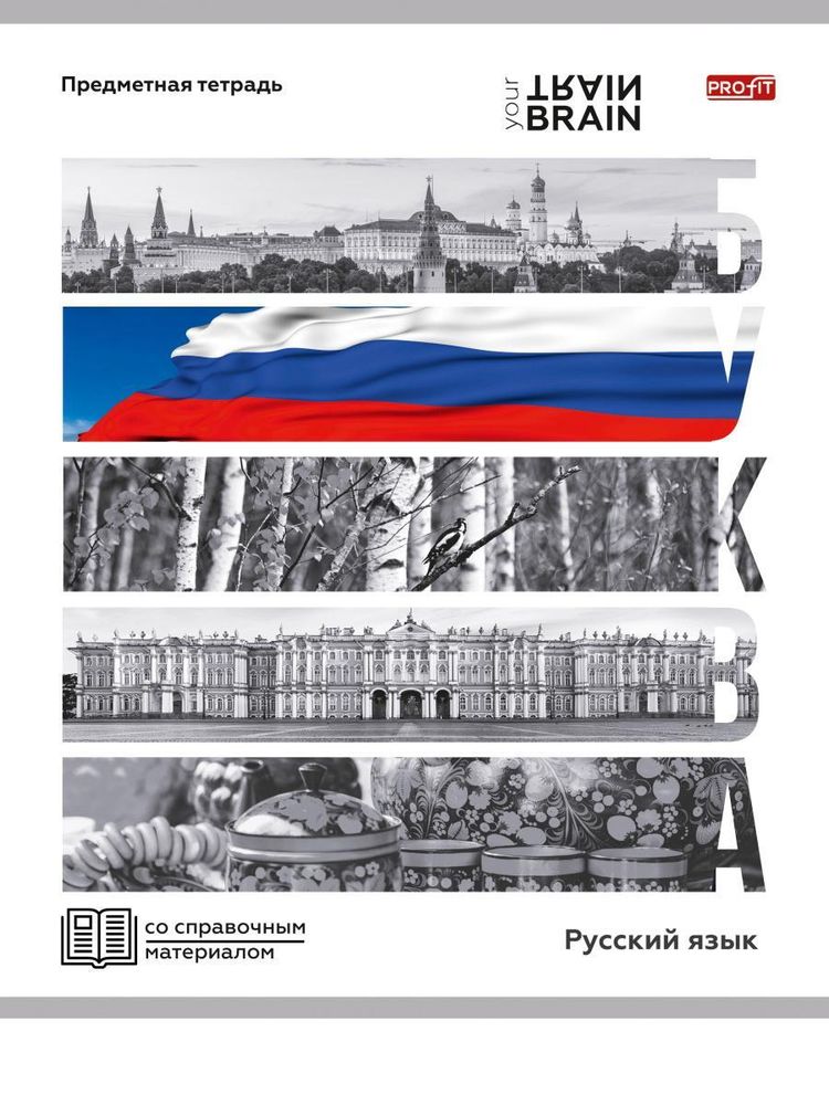 Тетрадь предметная 48л. линия Русский язык &quot;Контрасты&quot; (Проф-Пресс)