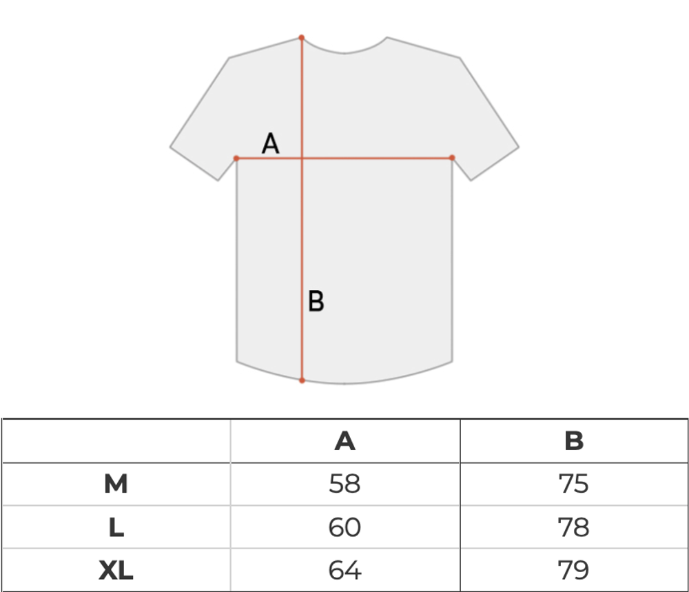 Футболка мужская Nike SB Tall Logo