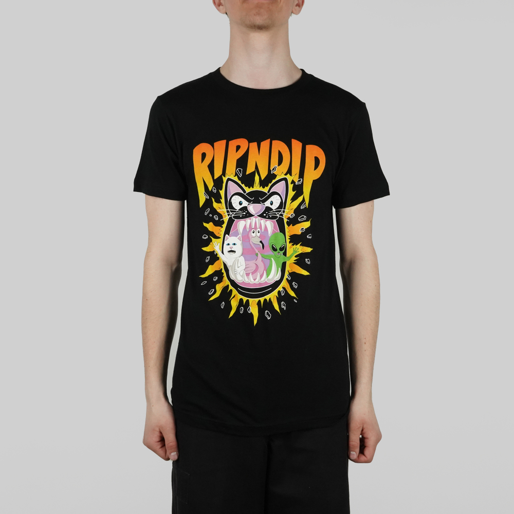 Футболка мужская Ripndip Hellavanight Tee - купить в магазине Dice с бесплатной доставкой по России