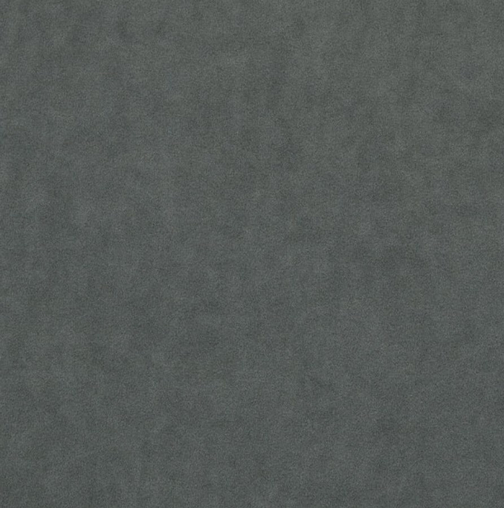 Микровелюр Бэст 31