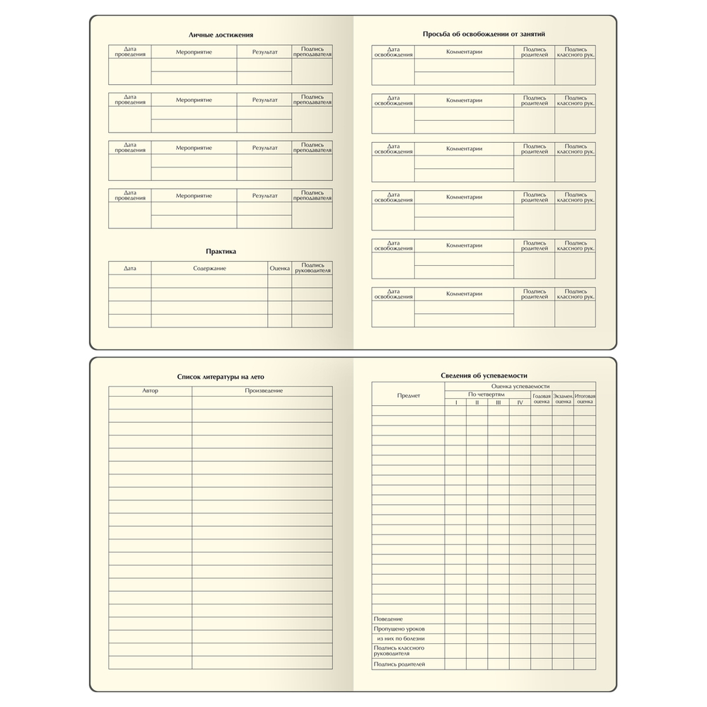 Дневник 1-11 кл. 48л. (ЛАЙТ) "Total gray", иск. кожа, тиснение, цветн. срез, ляссе, BG