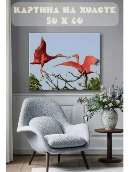 Картина на стену 40 X 50 Красный ибис