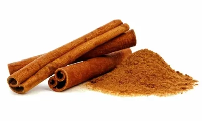 Корица молотая 25 кг.