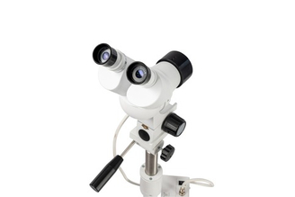 Гинекология