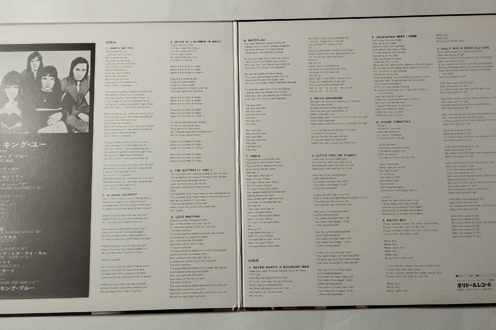 Винтажная виниловая пластинка LP Shocking Blue Shocking You (Japan 1971) (No Obi) Venus