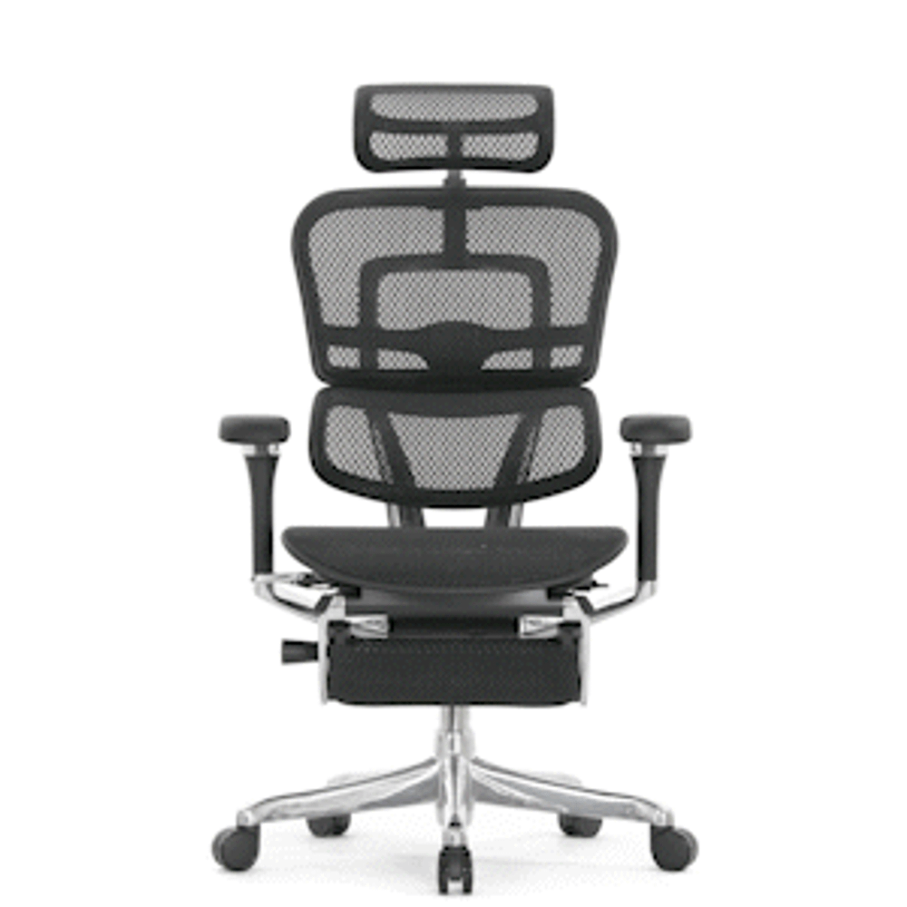 Кресло FALTO Ergohuman Luxury 2 с подножкой ( чёрный каркас /сетка чёрный T-168-B1 Black )