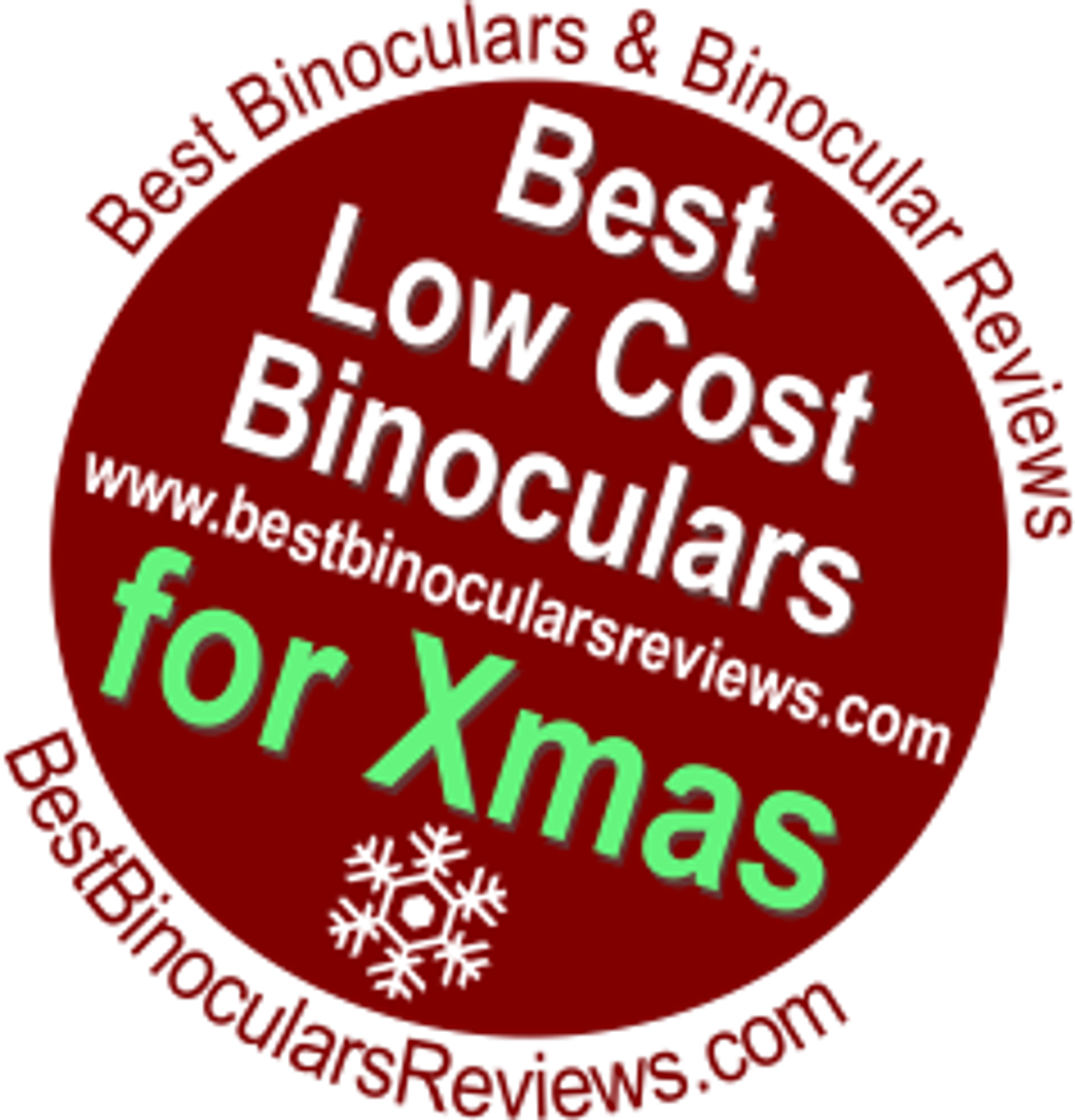 Бинокль Levenhuk Karma PRO 8x32