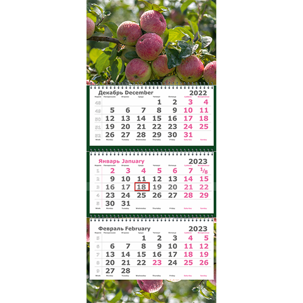 Календарь на 2024 год пересадки цветов