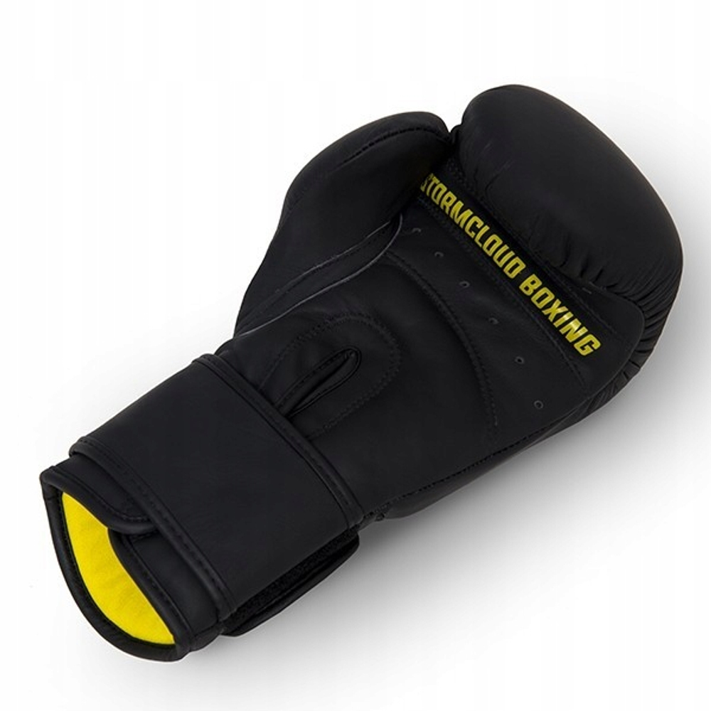 Боксерские перчатки StormCloud Boxing Pro чёрные